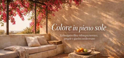 Bougainvillea, la rampicante mediterranea che accende terrazzi e giardini