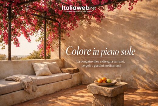 Bougainvillea, la rampicante mediterranea che accende terrazzi e giardini