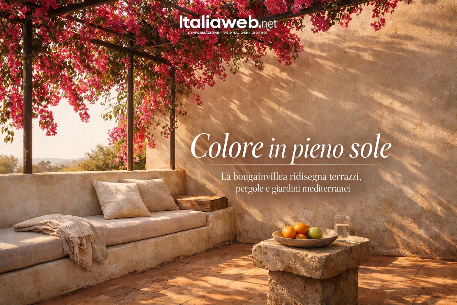 Bougainvillea, la rampicante mediterranea che accende terrazzi e giardini