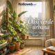 Giardino indoor in un piccolo appartamento: come trasformare casa in un’oasi verde