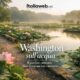 Kenilworth, il giardino acquatico nascosto di Washington