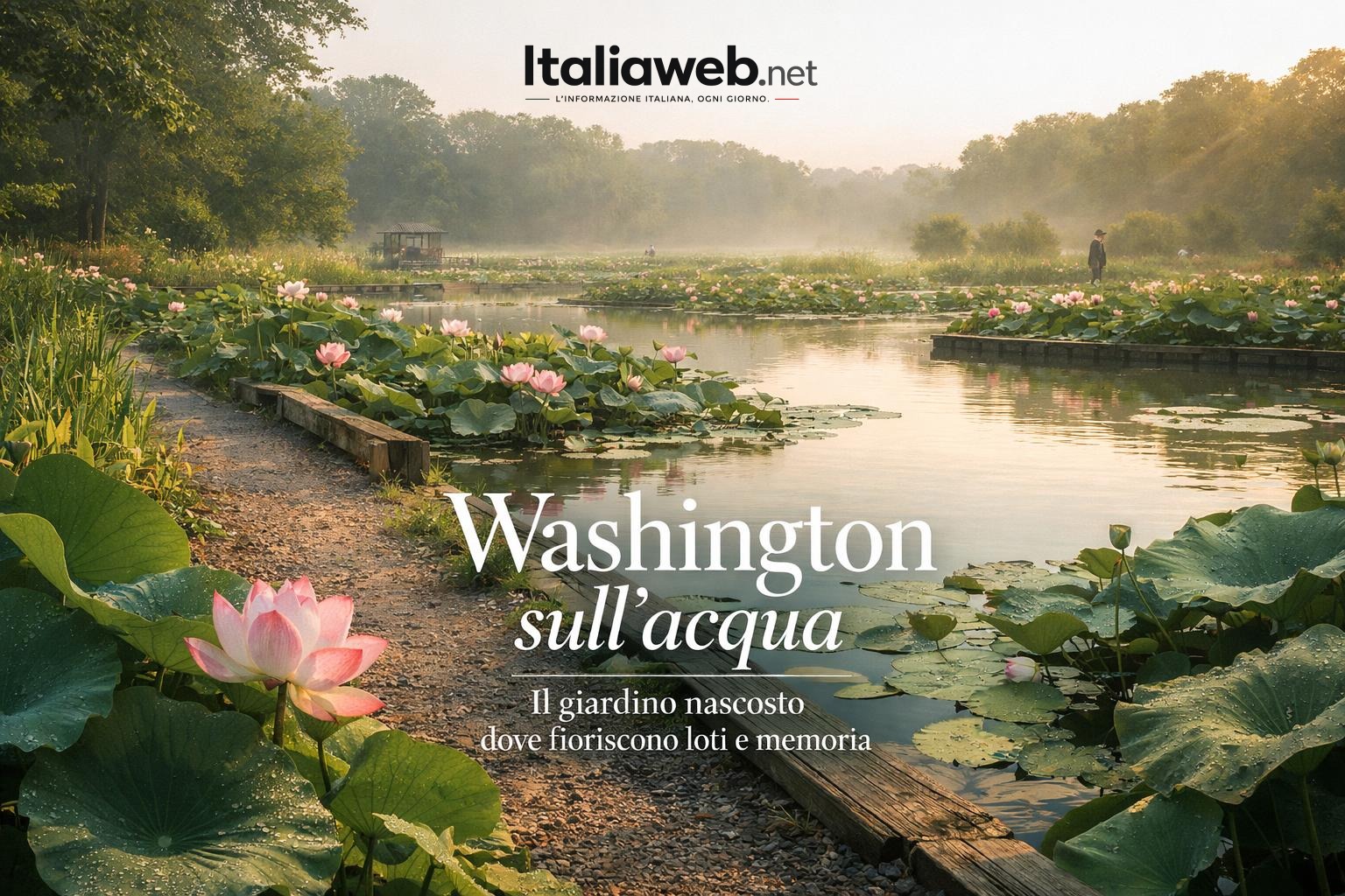 Kenilworth, il giardino acquatico nascosto di Washington