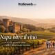 Napa Valley con bambini: il lato inatteso della wine country californiana