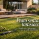 Tarassaco nel prato: come eliminarlo senza rovinare il giardino