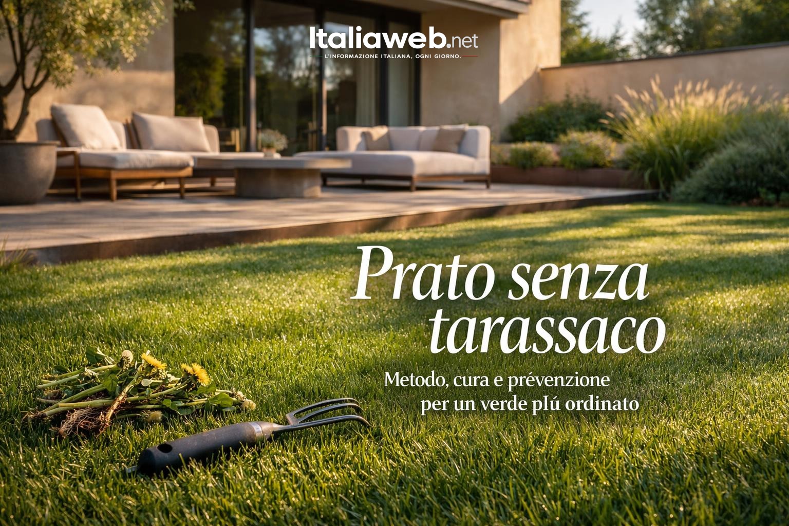 Tarassaco nel prato: come eliminarlo senza rovinare il giardino