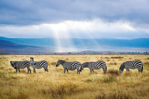 Vacanze in Tanzania